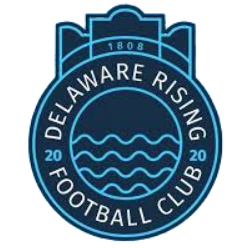 Delaware Rising badge